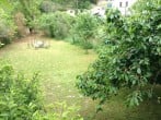 Large garden Large garden